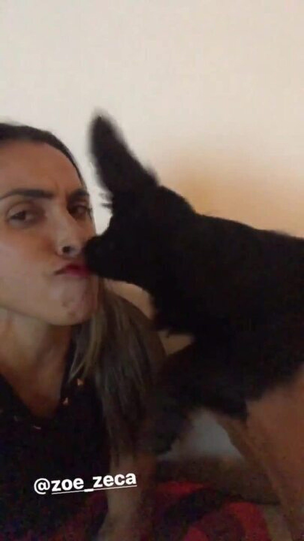 que-fofo-marta-beijada-pelo-cachorrinho-zeca-e-brinca-tira-o-batom