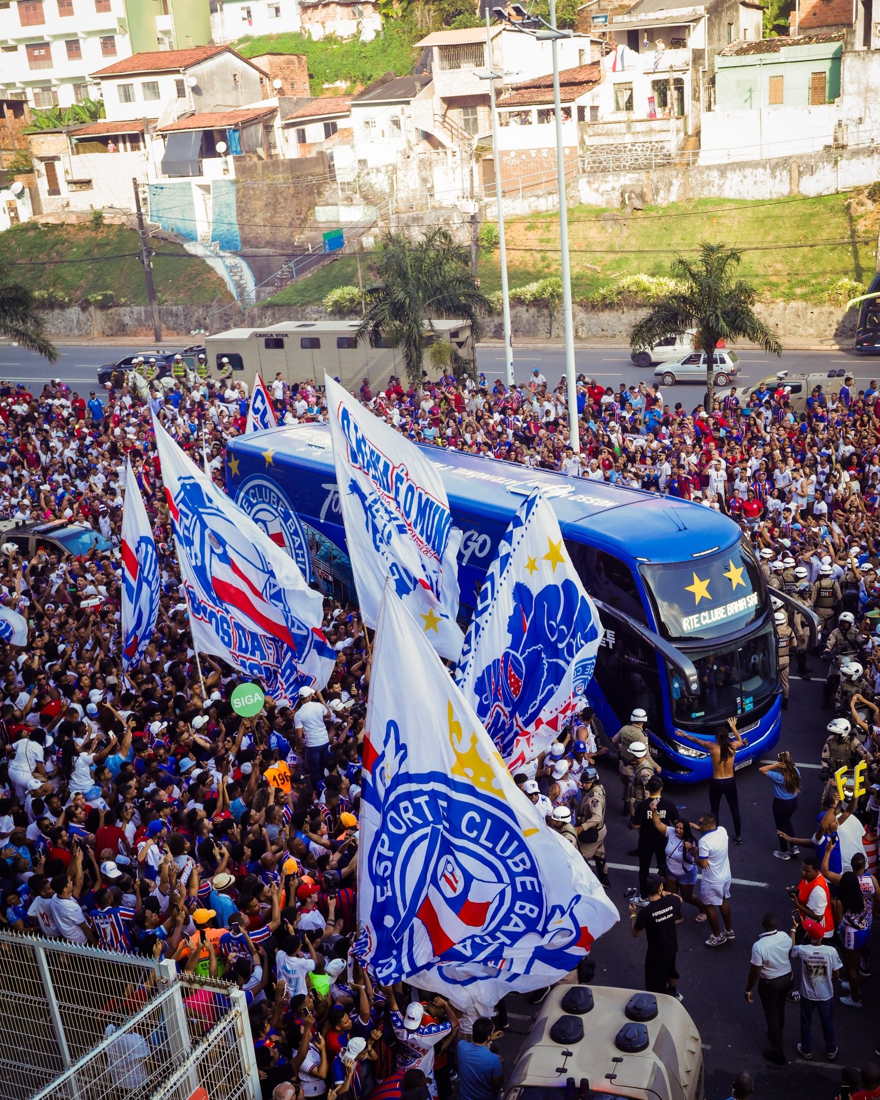 Bahia x Flamengo: dicas, palpites e chances no Brasileirão