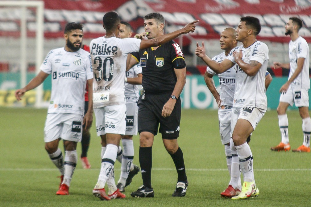 Central do Apito diz que árbitro deveria ter dado pênalti para o Santos e  anulado gol do Flamengo, brasileirão série a