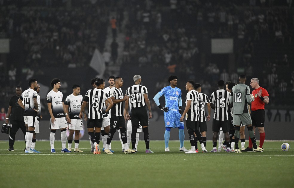 Botafogo, Corinthians, Nilton Santos — Foto: Andre Durão