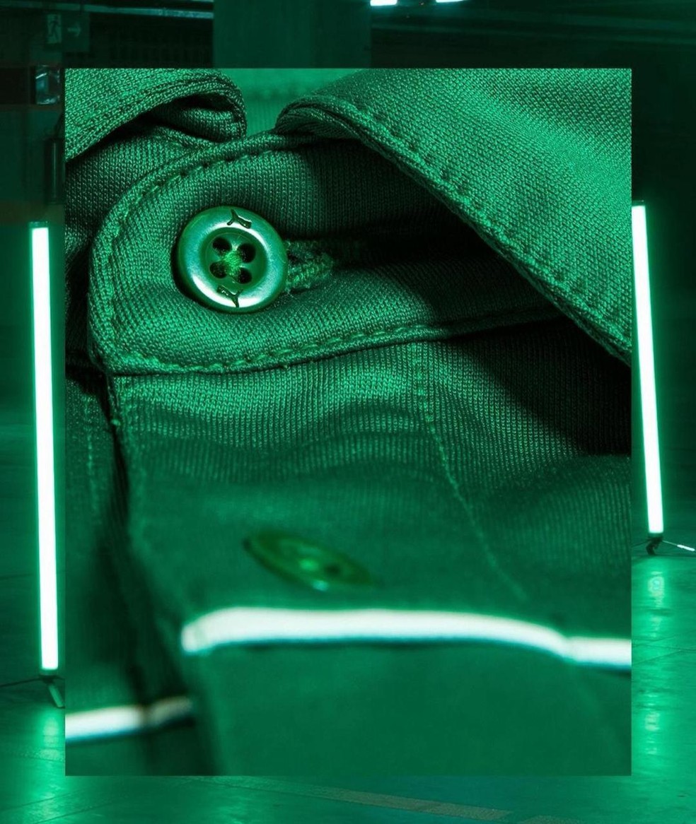 Detalhes da camisa do Palmeiras inspirada no automobilismo e co-criada por Abel Ferreira — Foto: Palmeiras / Divulgação