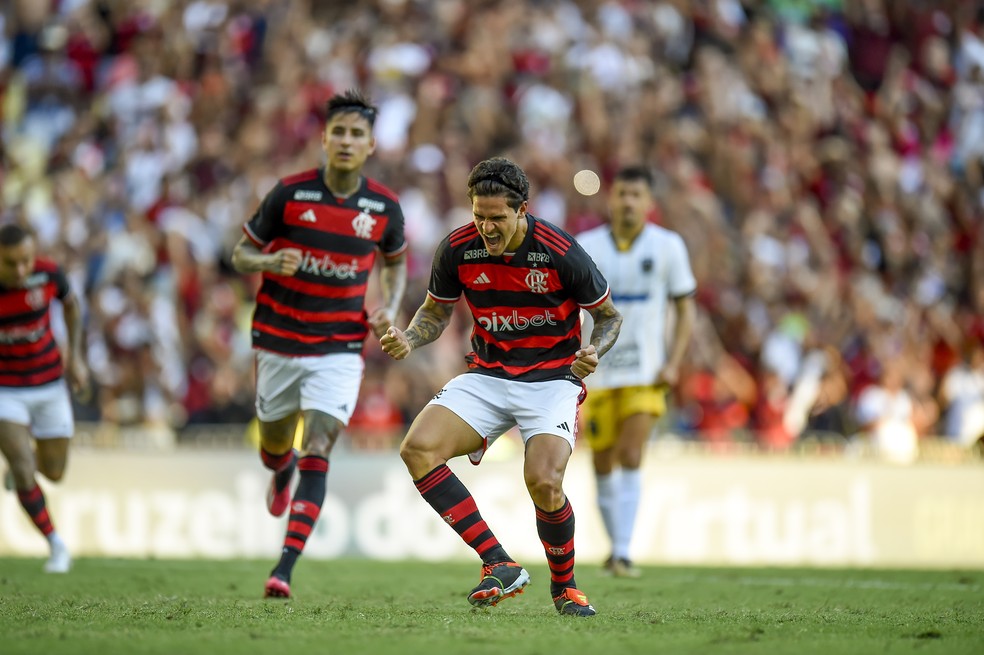 Pedro comemora com raiva o gol contra o Volta Redonda — Foto: Marcelo Cortes/Flamengo