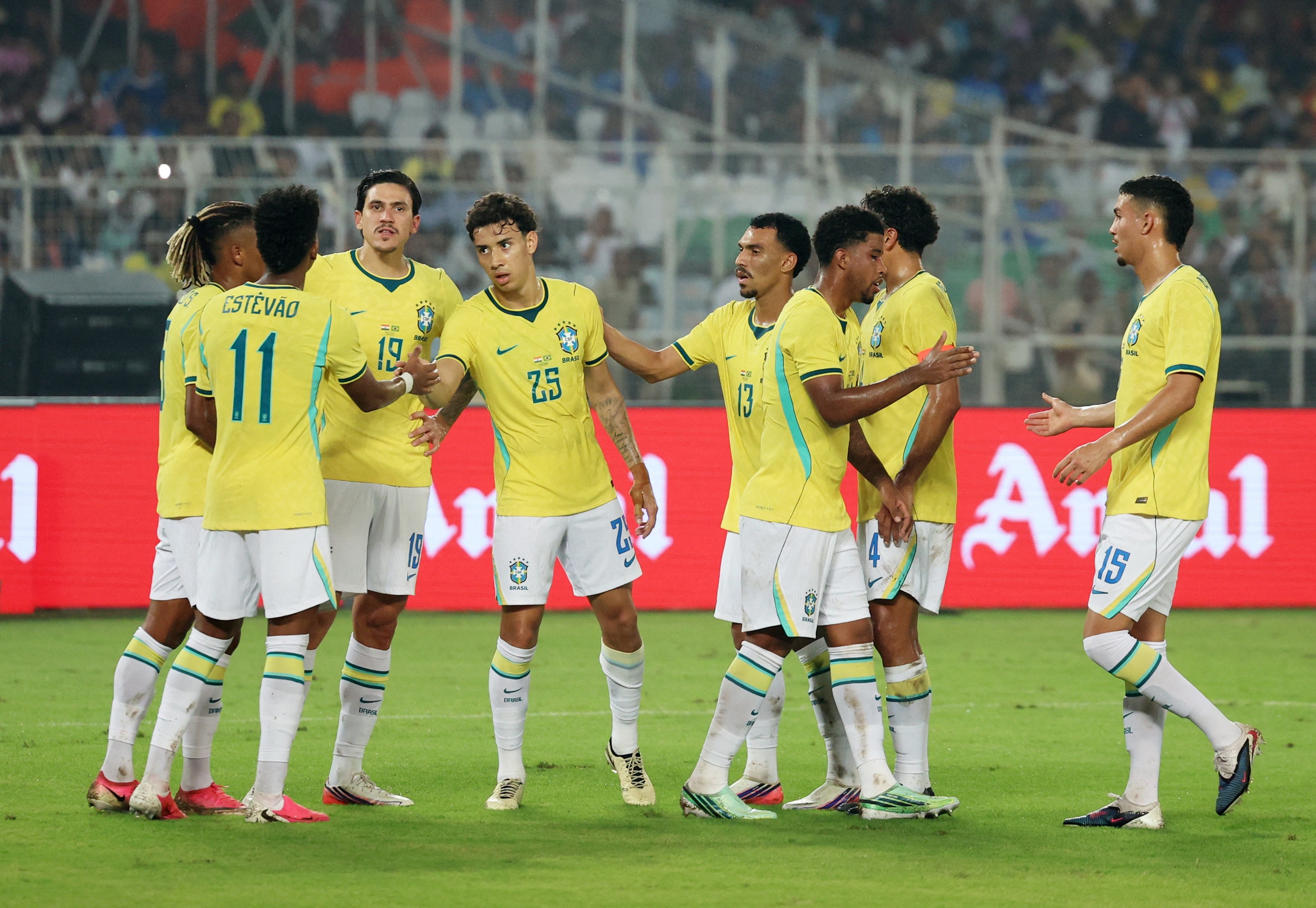 Seleção é protocolar até para uma tartaruga