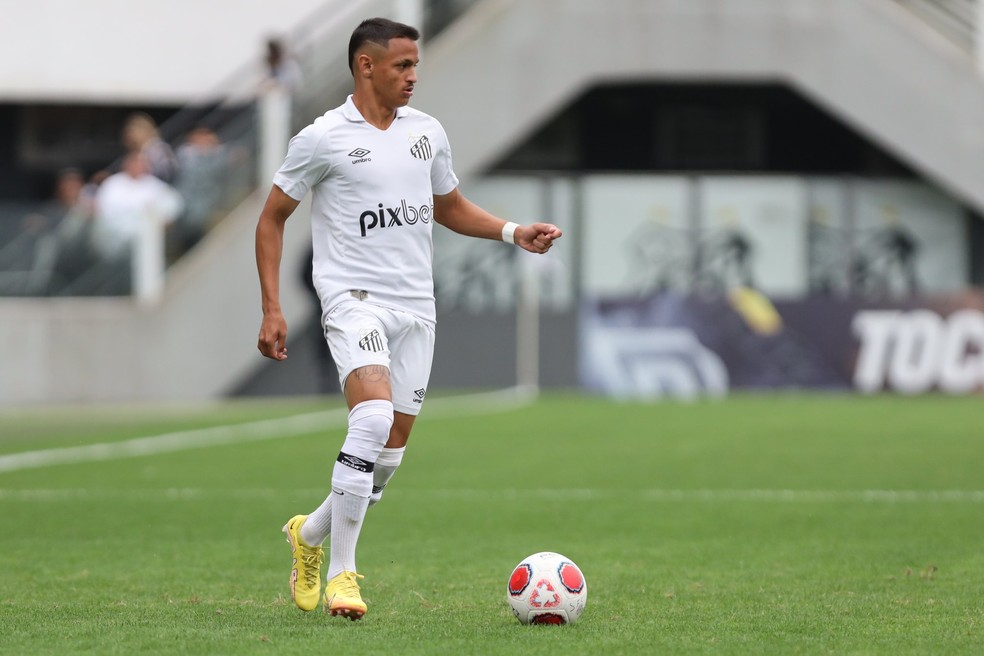 Santos é derrotado pelo Palmeiras e fica com o vice-campeonato do Paulista  Feminino – Santistas