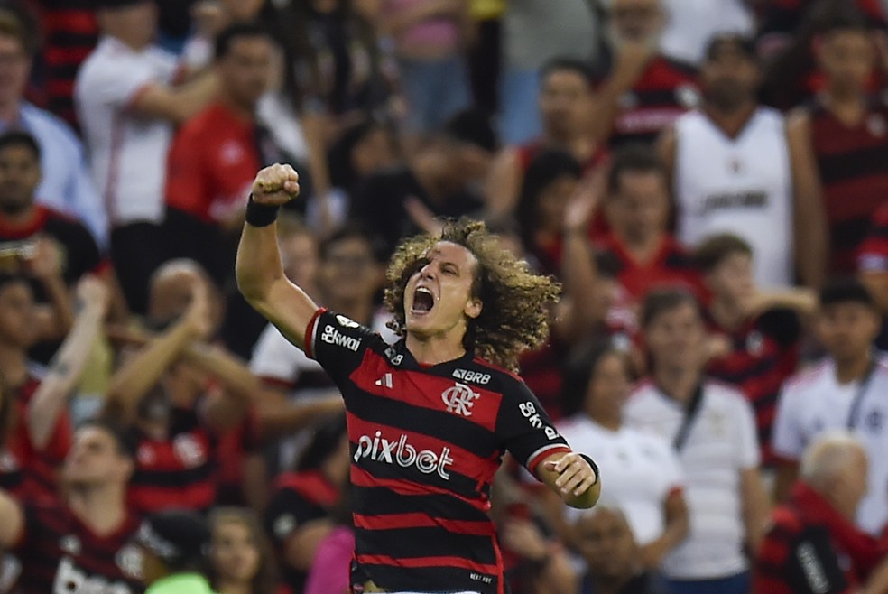 David Luiz comemora o gol da vitória do Flamengo sobre o Bahia — Foto: Marcelo COrtes / CRF
