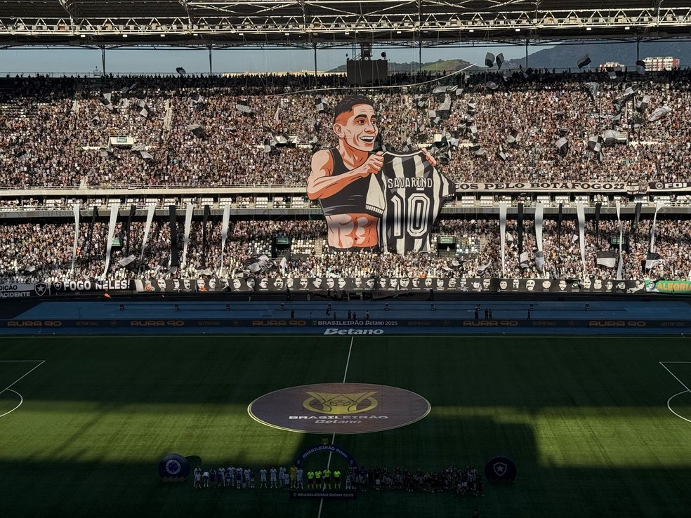 Botafogo, Cruzeiro, Brasileirão — Foto: Barbara Mendonça