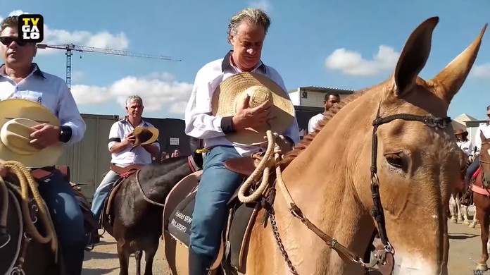 Cavalo é jogado de ponte na Zona da Mata de PE; veja vídeo - Blog