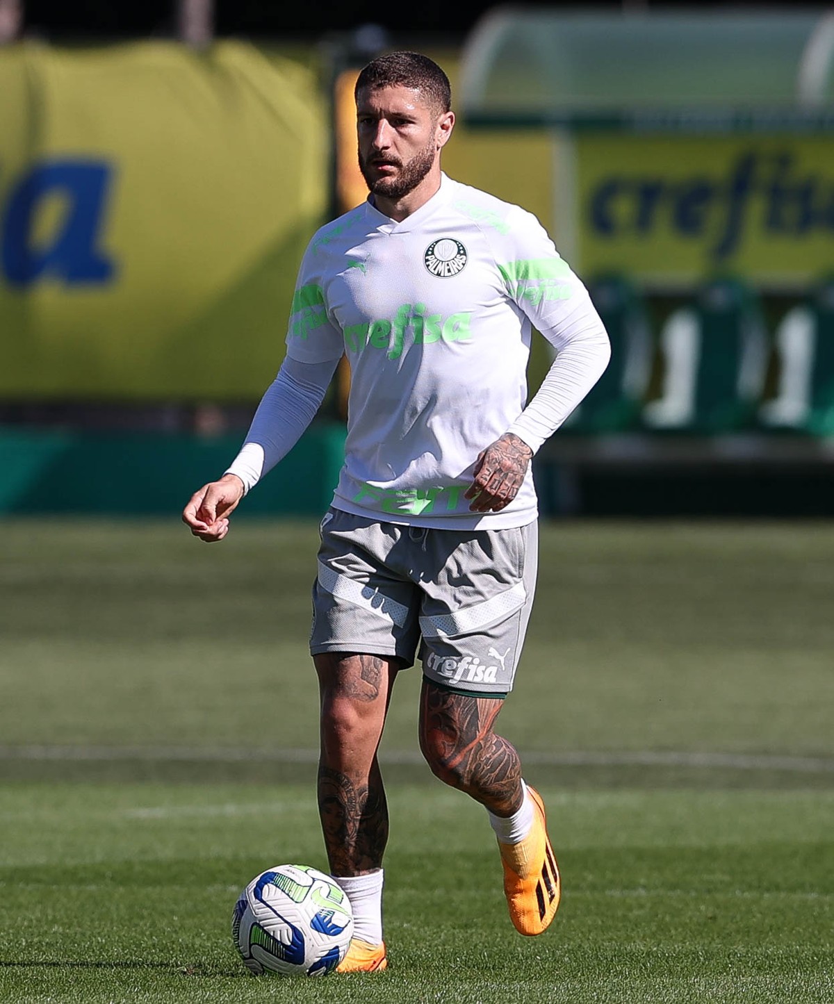 Zé Rafael sofre lesão no joelho e desfalca o Palmeiras contra o Bolívar 