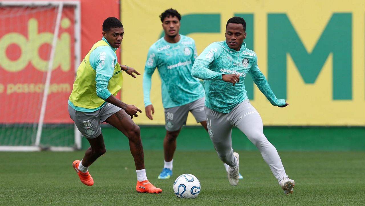 Imagem da partida Palmeiras x LDU