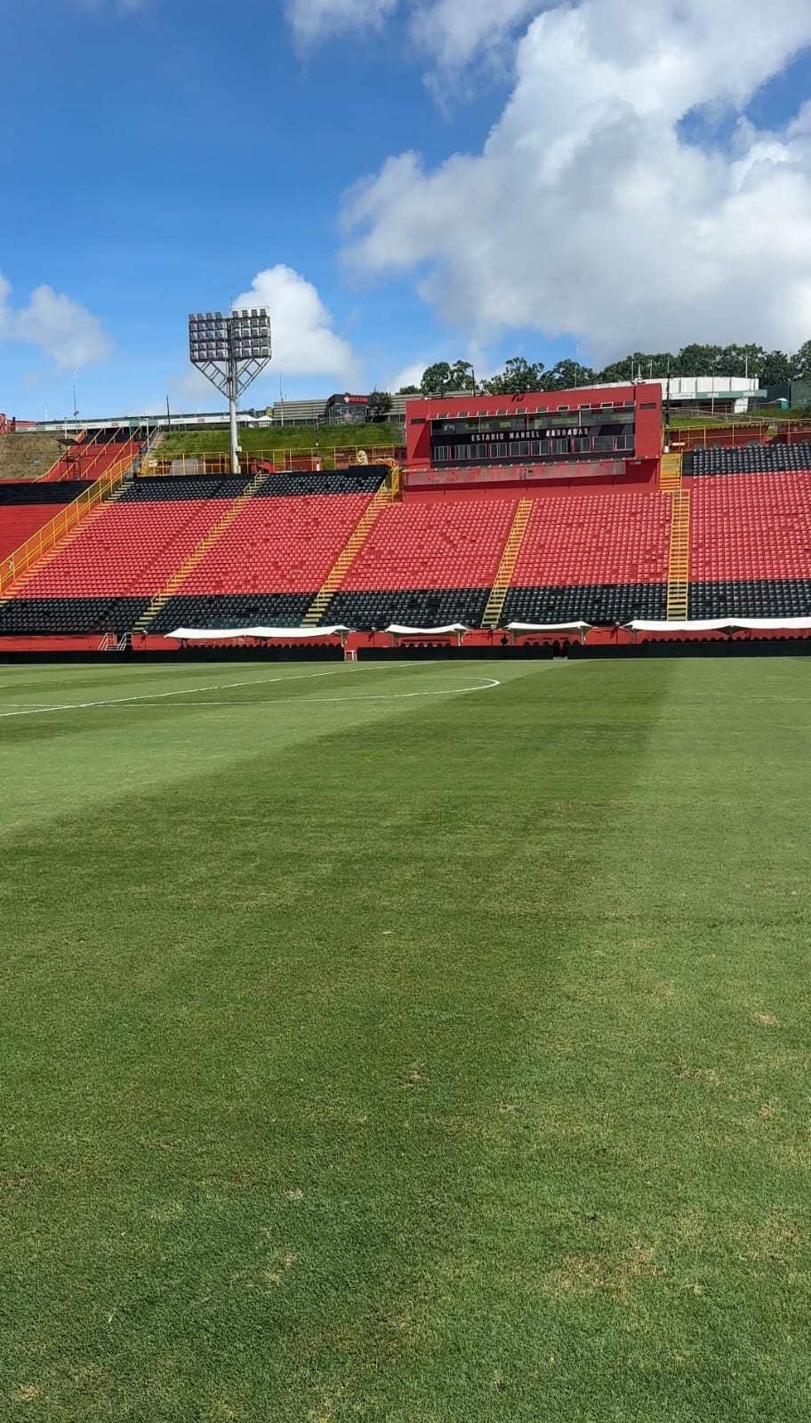 Veja como está o gramado do Barradão antes de Vitória x Flamengo