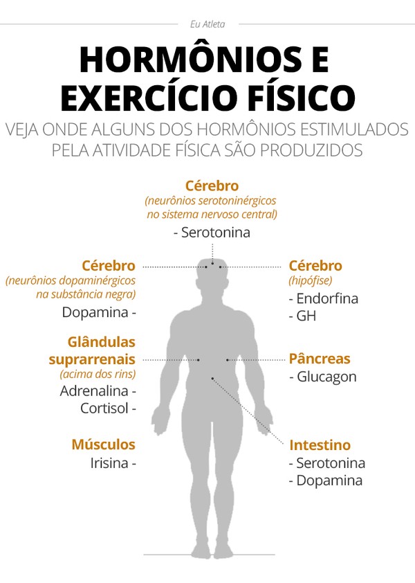 Os tipos de fibras musculares e como influenciam no seus treinos
