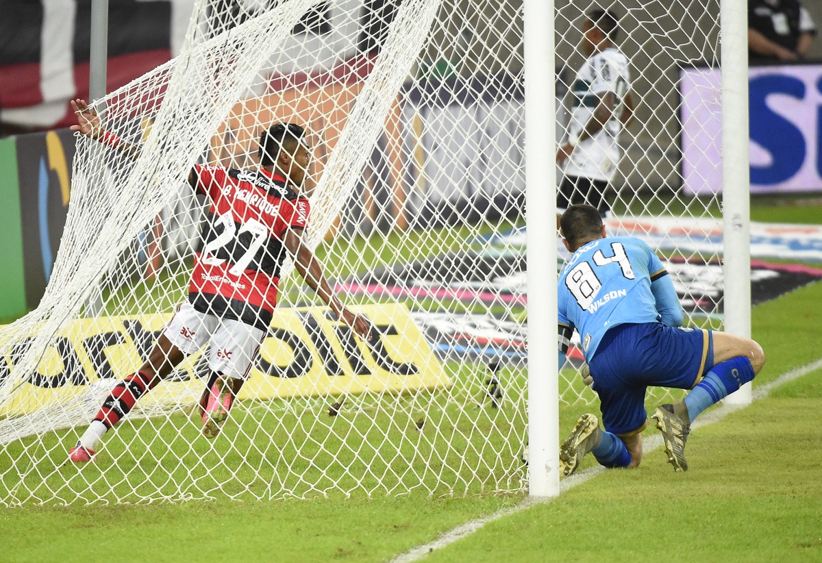 Campeão do Brasileiro de Aspirantes, atacante Lucas Cardoso reforça o  Botafogo - Botafogo Futebol SA