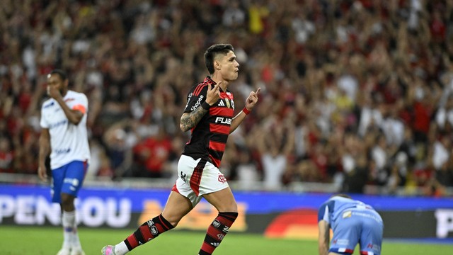 Luiz Araújo Flamengo x Fortaleza Campeonato Brasileiro 2025