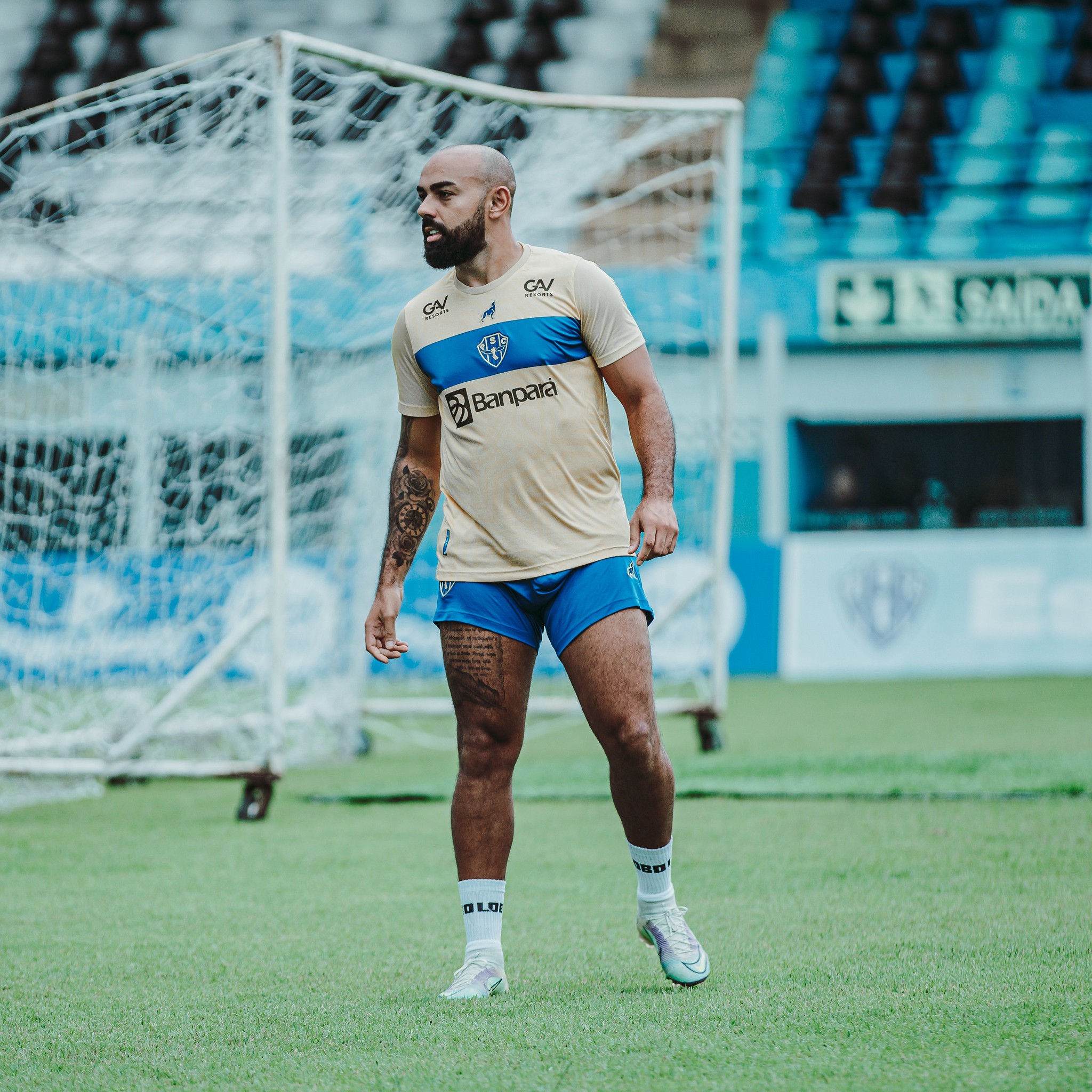 Dalberto inicia transição no Paysandu e se aproxima de volta aos ...