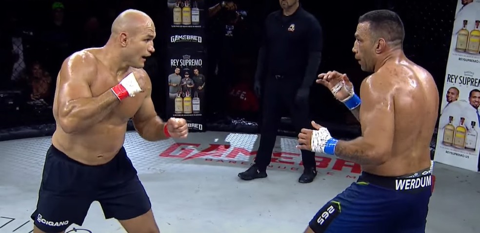 Junior Cigano e Fabrício Werdum lutaram por três rounds em luta dominada pelo catarinense — Foto: Reprodução/Combate