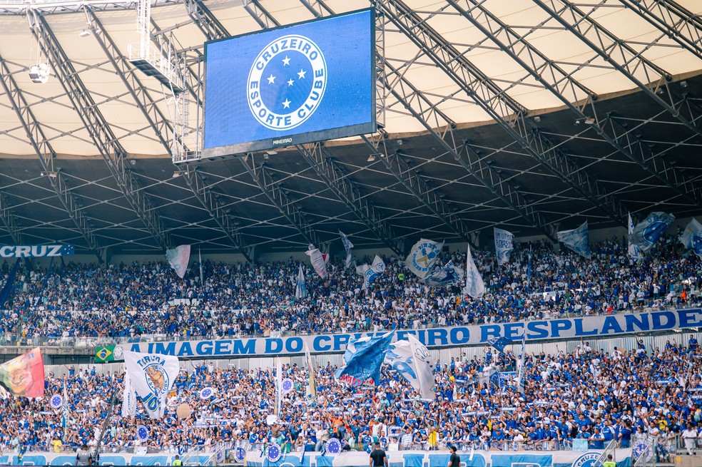 Torcida do Cruzeiro no Mineirão — Foto: Alessandra Torres/AGIF