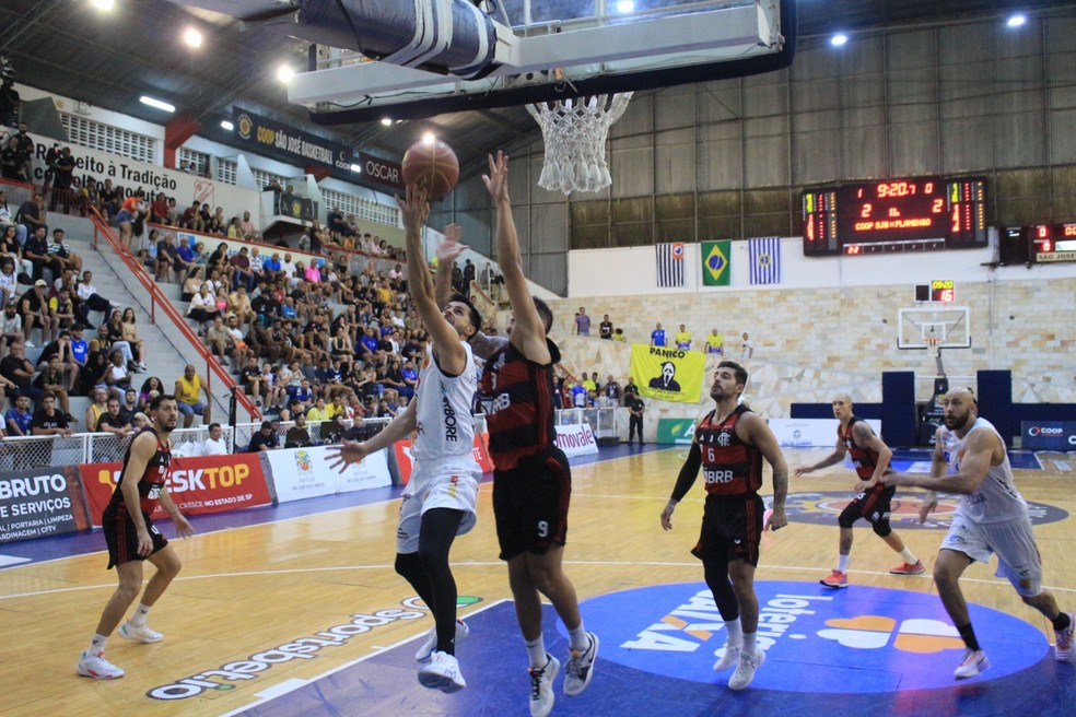 Gato Joga Basquete No Campo 3 Imagem de Stock - Imagem de prado