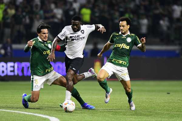 Palmeiras x Botafogo: Confronto Importante antes da Final da Libertadores.