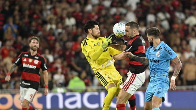 Flamengo x Santos - Brasileirão