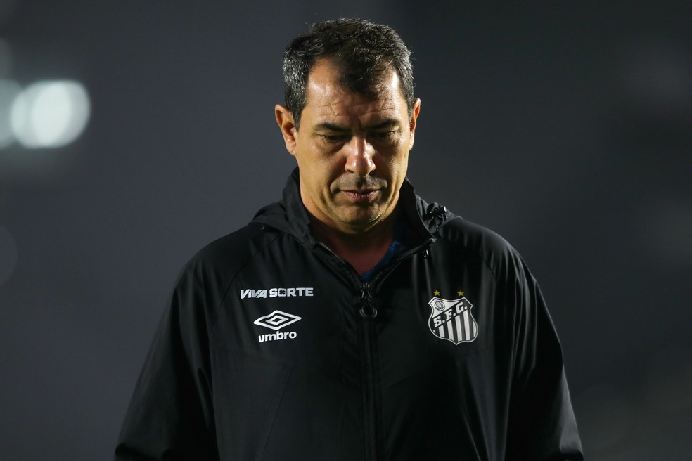 Fábio Carille, técnico do Santos, contra a Ponte Preta — Foto: Reinaldo Campos/AGIF