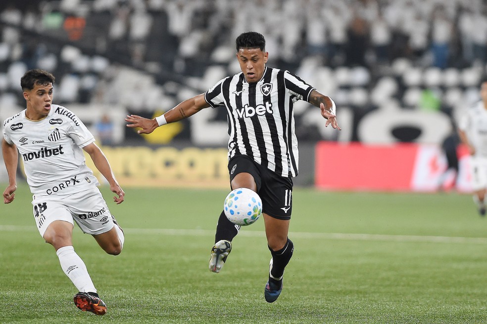 Matheus Martins em Botafogo x Santos — Foto: Alexandre Durão