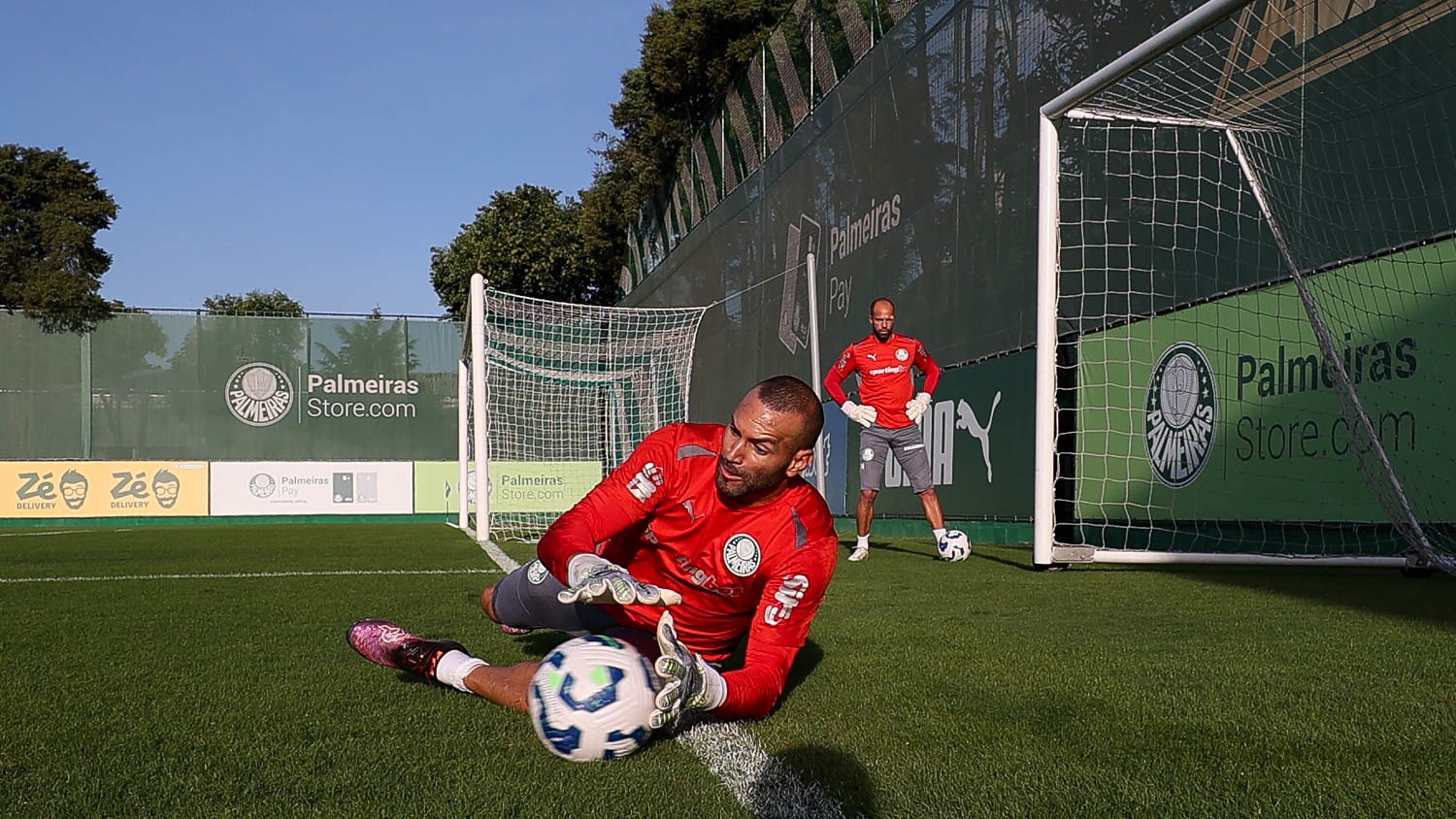 Weverton completa 50 jogos sem sofrer gol na Libertadores pelo Palmeiras