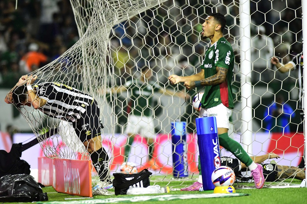 Gol do Palmeiras contra o Santos — Foto: Marcos Ribolli