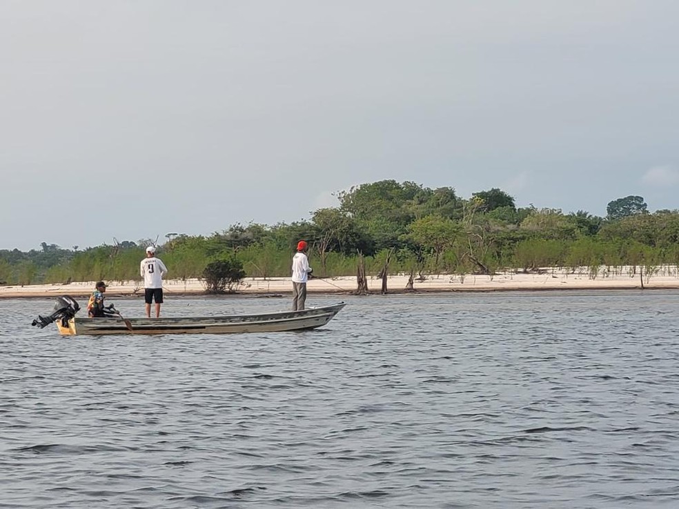 Principais famílias capturadas nos torneios de pesca nas praias do Olho