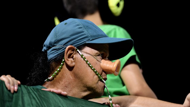Torcedor do Palmeiras na Arena Barueri