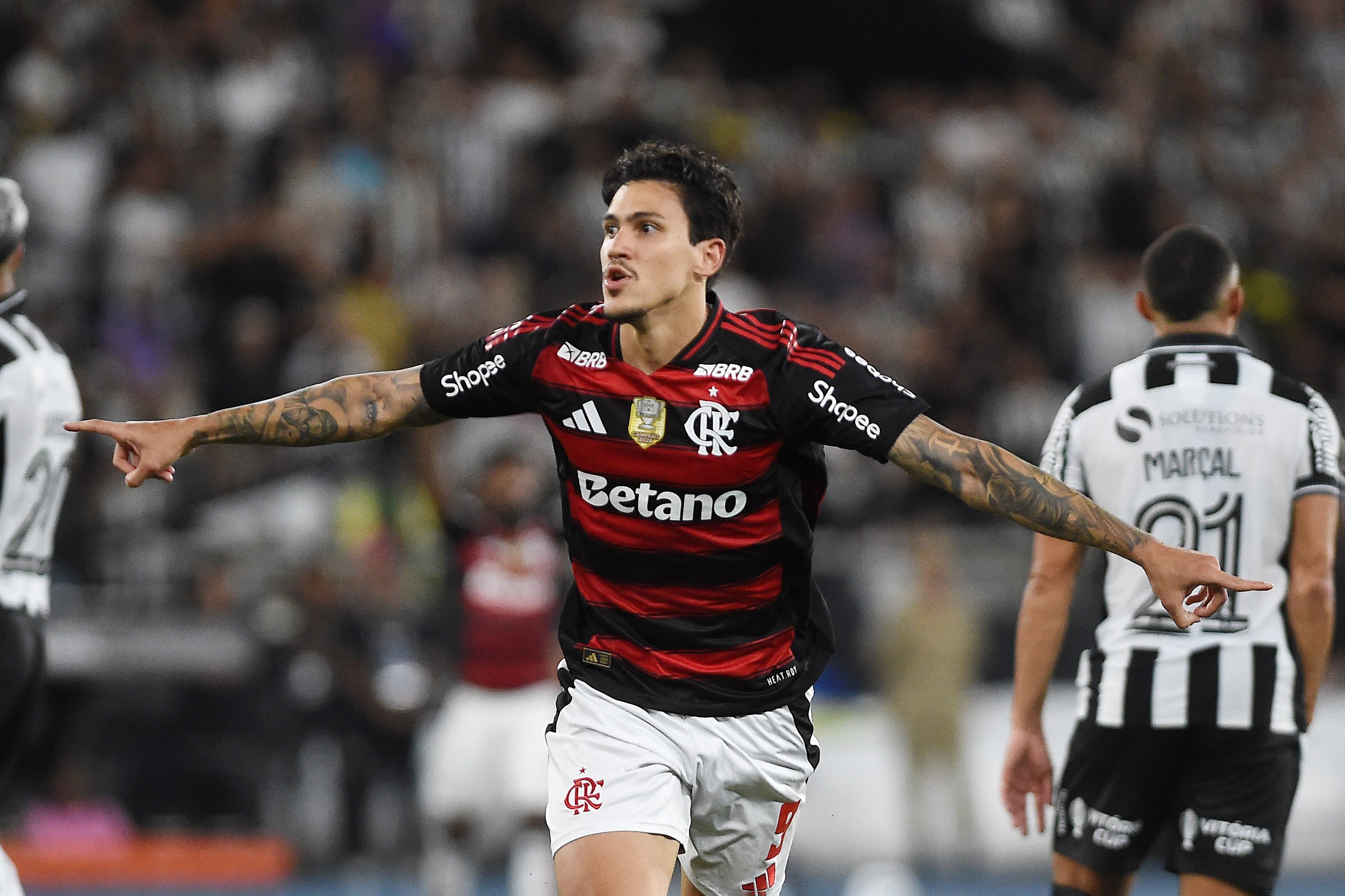 Potencial de título do Palmeiras aumenta para 71%; Flamengo sobe para 27%