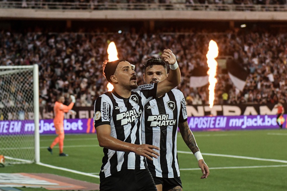 Gol Eduardo Botafogo x Palmeiras — Foto: Thiago Ribeiro/AGIF