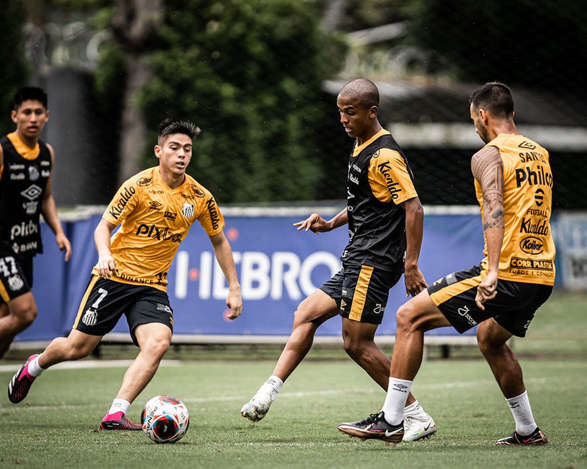 Santos inicia preparação para a estreia na Copa do Brasil | santos | ge
