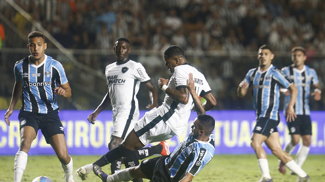 Júnior Santos finaliza para dar vantagem ao Botafogo sobre o Grêmio