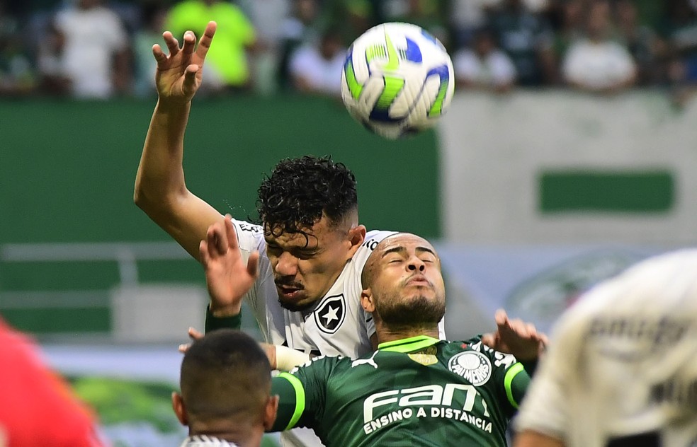 Tiquinho Soares e Mayke disputam bola no jogo do primeiro turno vencido pelo Botafogo por 1 a 0 no Allianz Parque — Foto: Marcos Ribolli