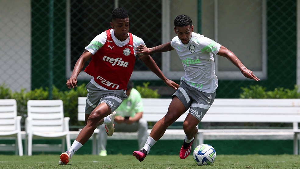 Palmeiras conta com atletas convocados por seleções para jogo contra Goiás