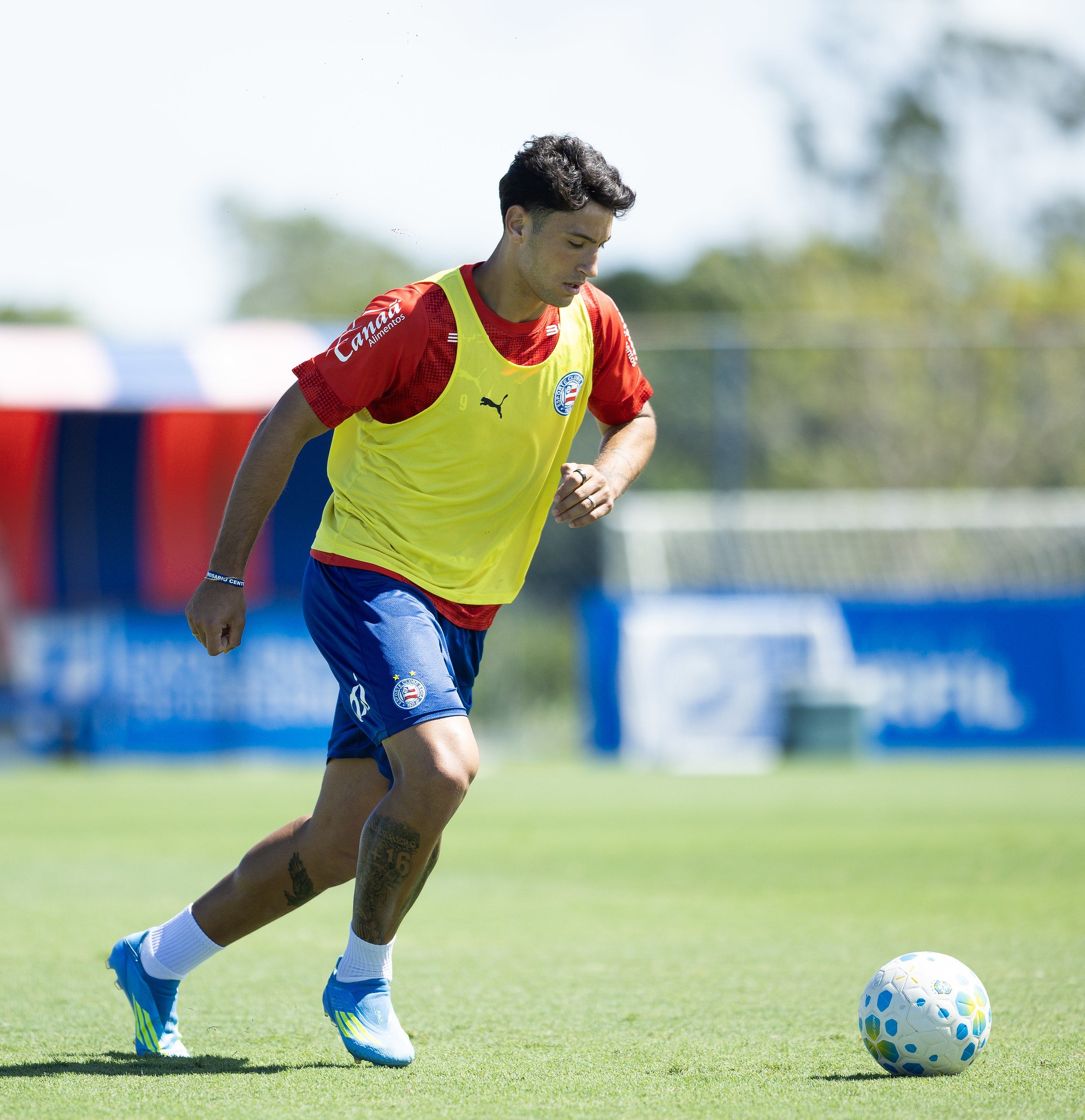 Há sete jogos sem marcar, Willian José ganha concorrência de Alejo, pronto para estrear pelo Bahia