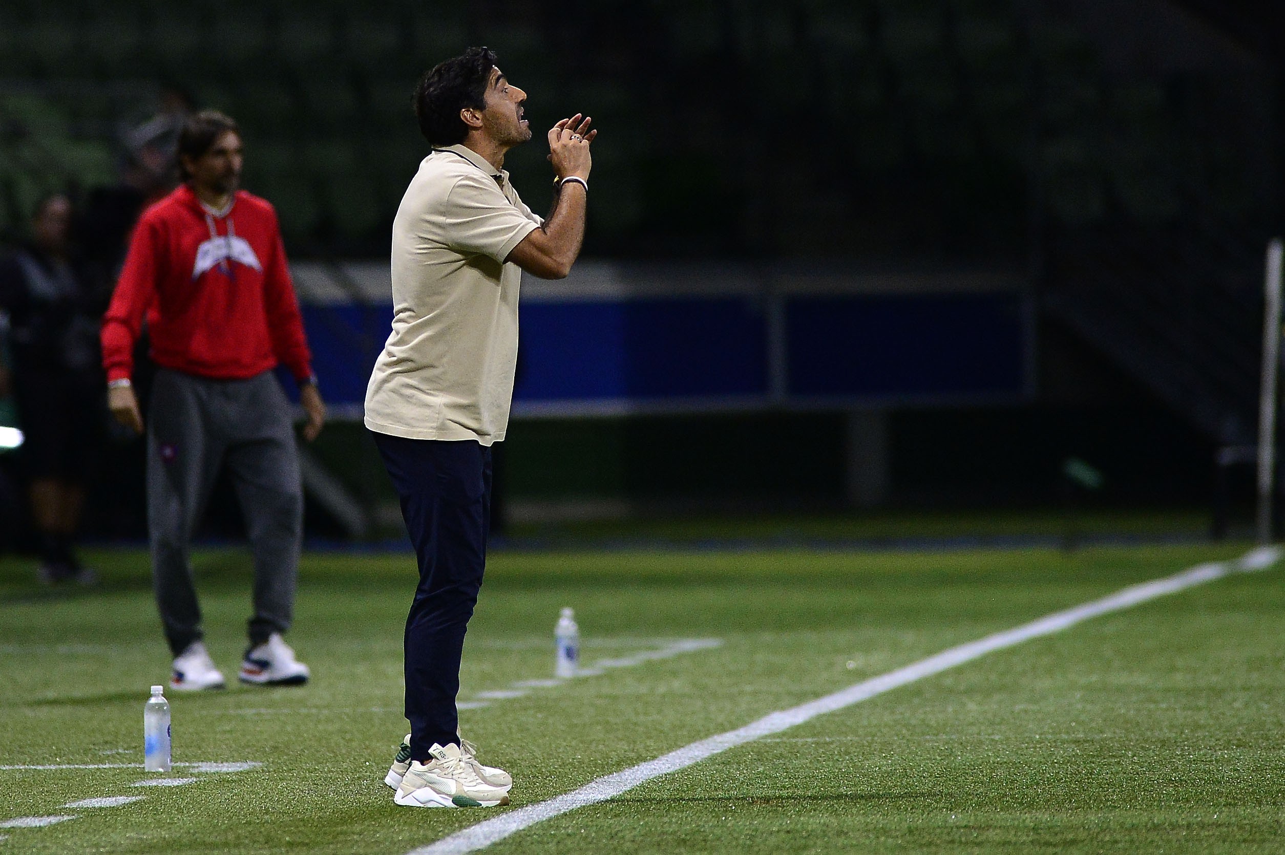 Abel elogia postura do Palmeiras, critica gol anulado e elogia jogador.