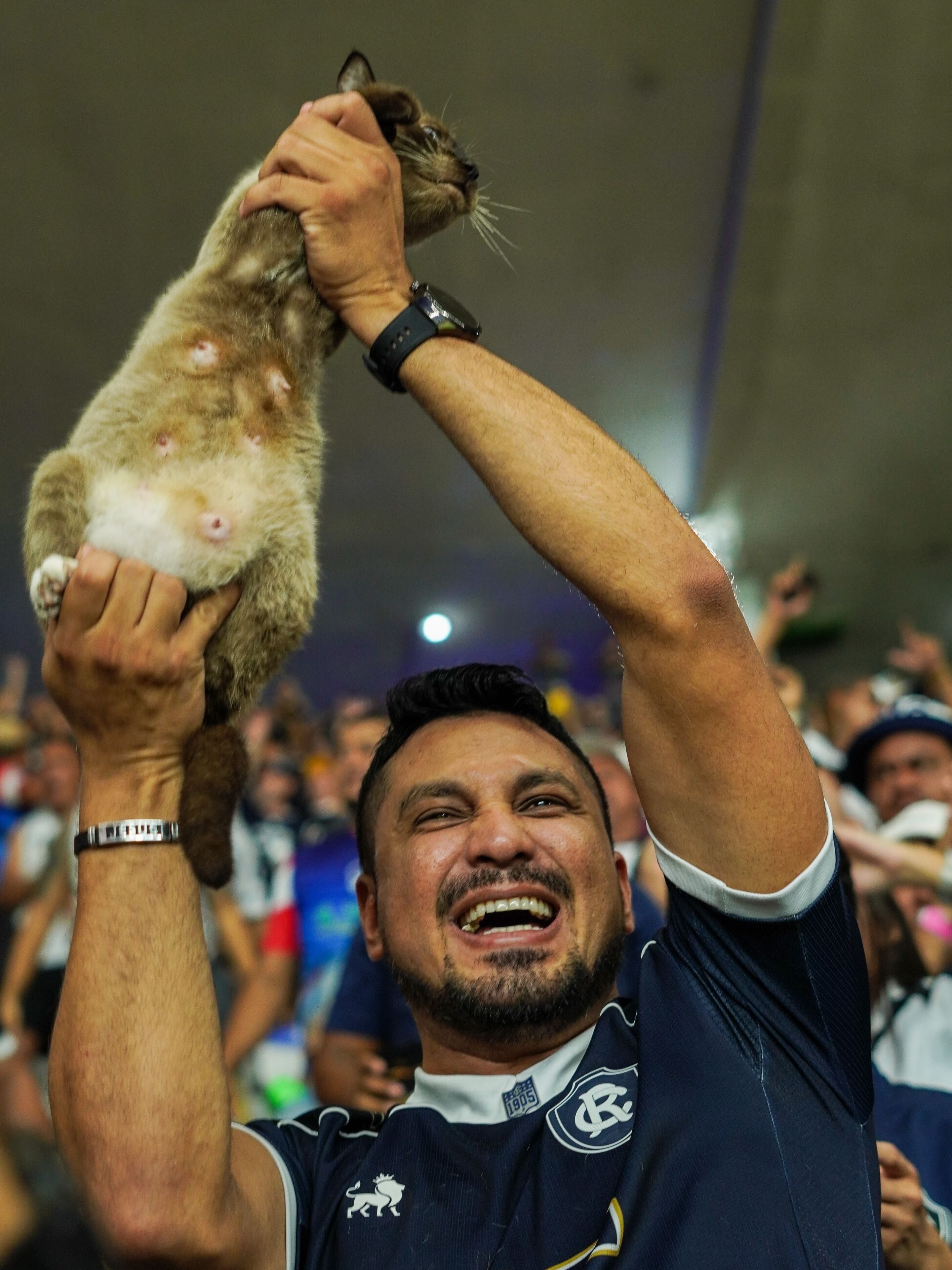 Torcedor do Remo viraliza ao torcer com gatinha em jogo contra Atlético-MG: “Chamei de Leonina”