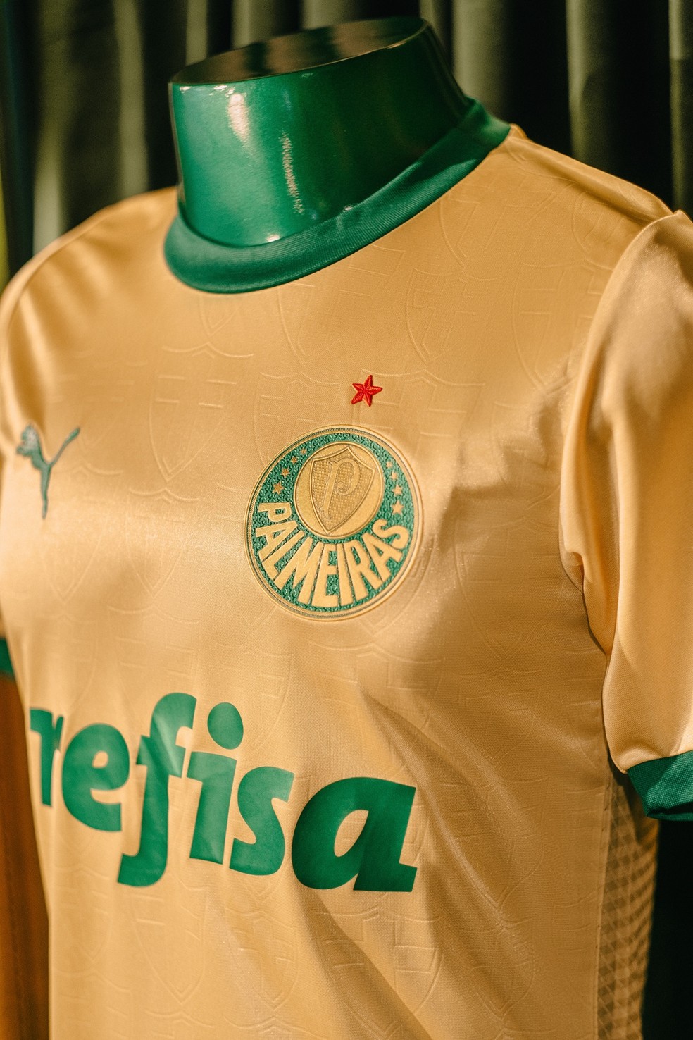 puma x palmeiras camisa third 3