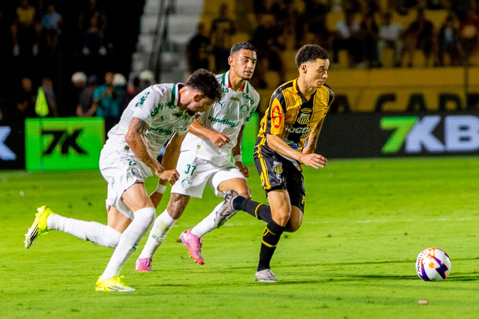 Novorizontino 4 x 0 Palmeiras