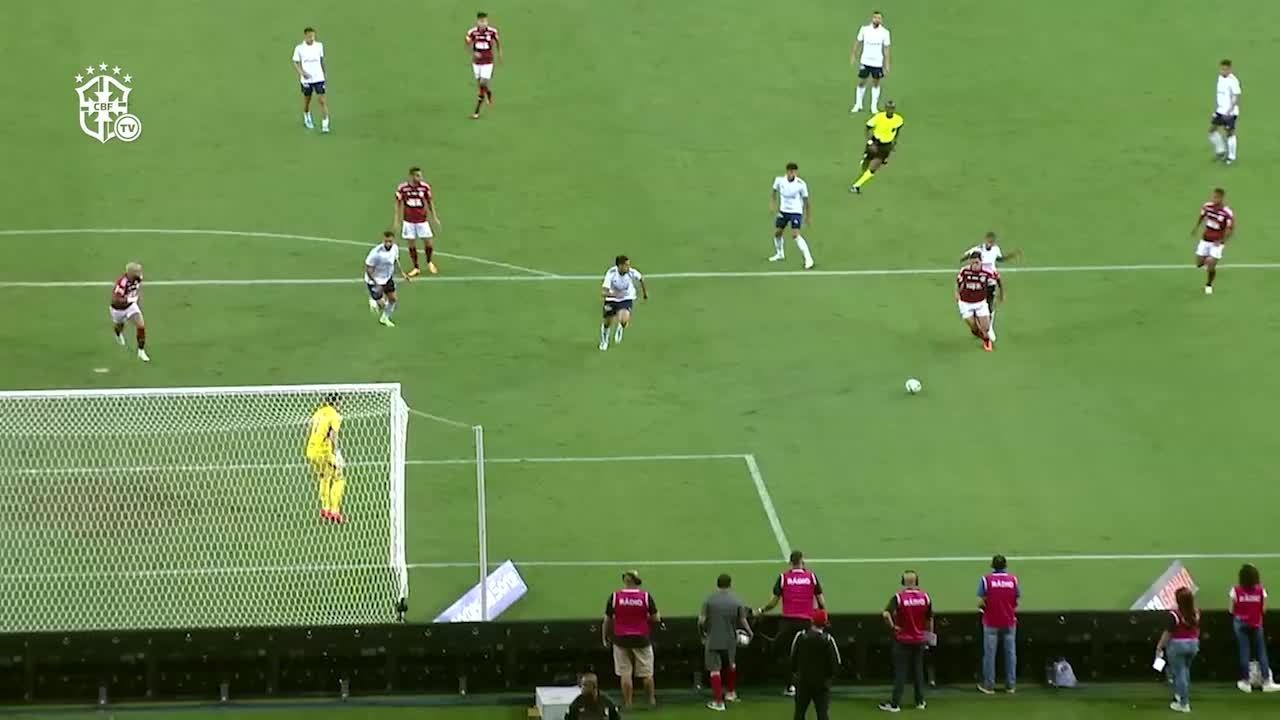 Wilson Seneme analisa pênalti marcado em Flamengo 1 x 1 Cruzeiro