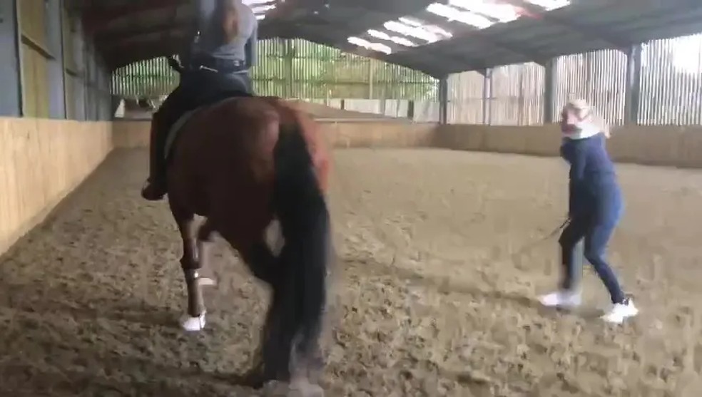 Vídeo mostra Dujardin maltratando cavalo em treino — Foto: Reprodução