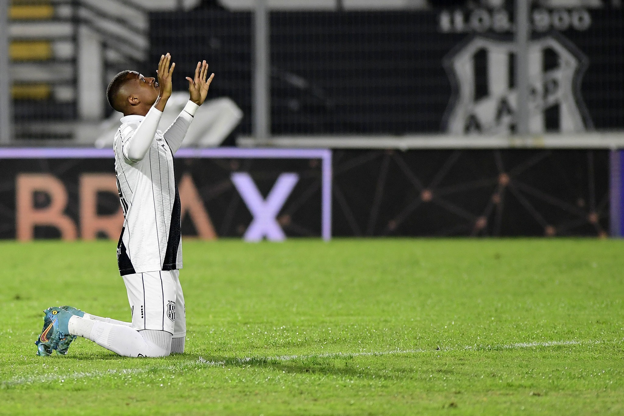 imagem