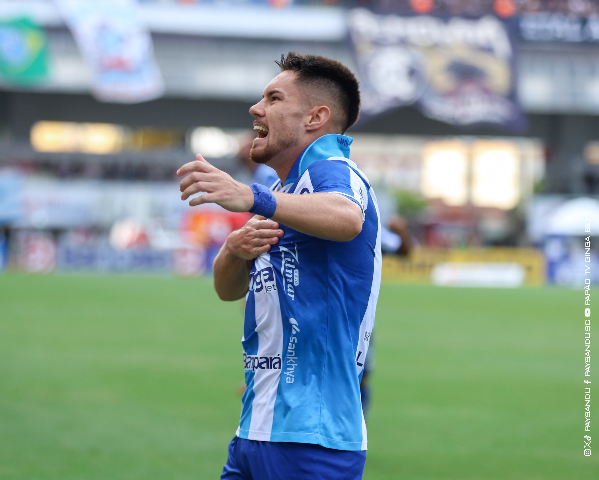 Caio Mello retorna ao Paysandu, que ainda não perdeu com o meia na Série C