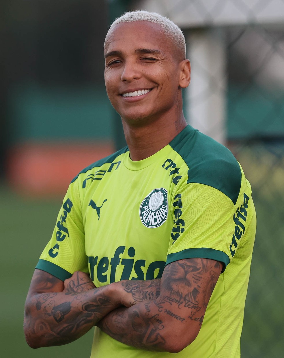 Palmeiras pode ter novidade e confia em jogadores 100% na Libertadores -  Superesportes
