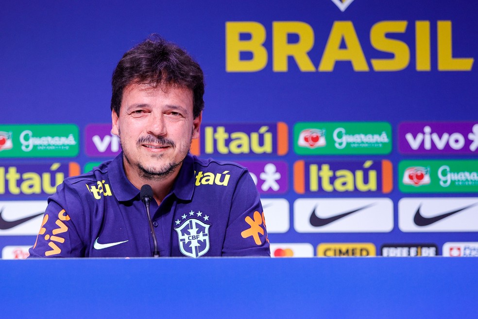 Fernando Diniz, técnico interino da seleção brasileira — Foto: Rodrigo Ferreira/CBF